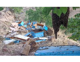 Malatya'da arı kovanı ve bal yüklü kamyon devrildi: 3 ölü