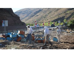 Arıcılar trafik kazasında ölen meslektaşlarının aileleri için seferber oldu