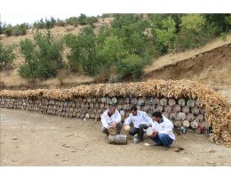 Huzura kavuşan Çemikare Yaylası'nda bal üretiyorlar