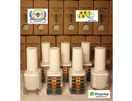 2021 Yılı Ana Arı Boya Rengi