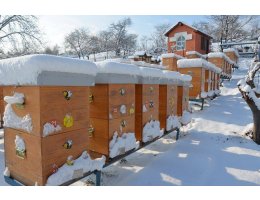 Ankara Büyükşehir Belediyesinden 