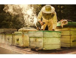 Kovanlardan toplanan propolisten sabun ve krem elde edildi