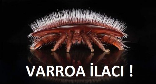 Varroa İlacı  