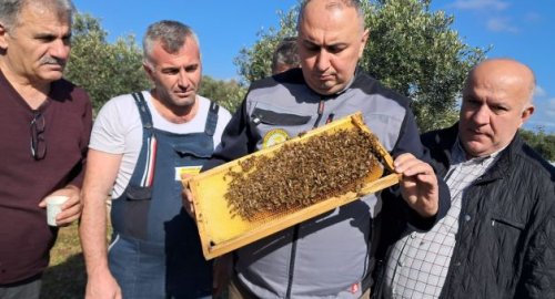 İLLER BAZINDA 2025 YILI TÜRKİYE ARICILIK İSTATİSTİKLERİ AÇIKLANDI